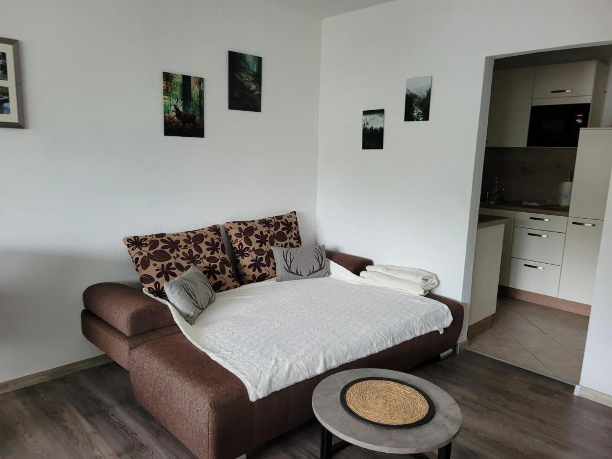 Ferienwohnung Hilde Bad Peterstal-Griesbach Exterior foto